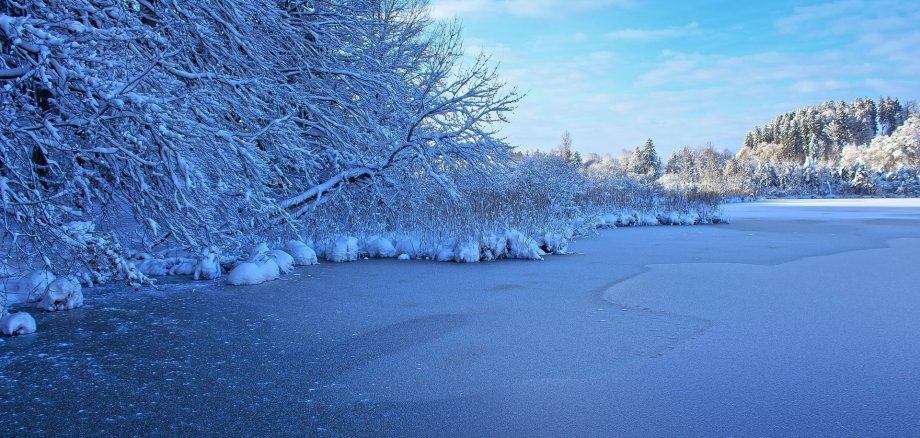 Aufnahme eines verschneiten Sees. Links im Bild sieht man ein Waldstück.